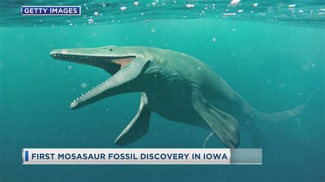 First Mosasaur Fossil Discovery In Iowa