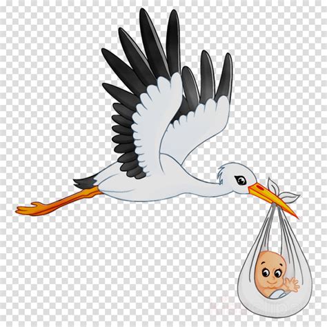 Stork clipart transparent, Picture #3175527 stork clipart transparent