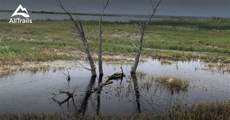 Best trails in Brooks, Alberta | AllTrails