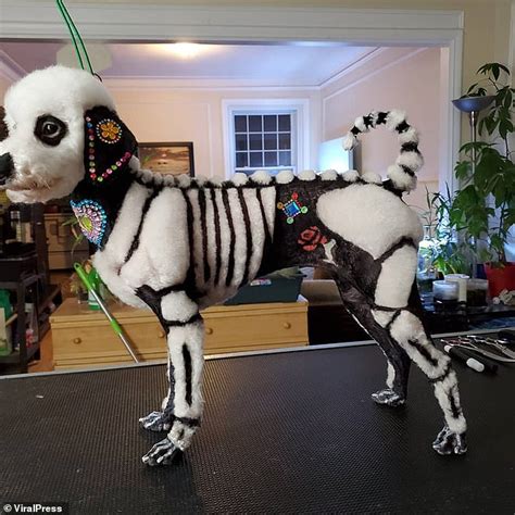 Canadian dog owner slammed for decorating her poodle to look like a SKELETON for Day of the Dead ...