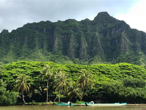 Jurassic Park Hawaii | How to Visit Kualoa Ranch in 2024 - Island + Alpine