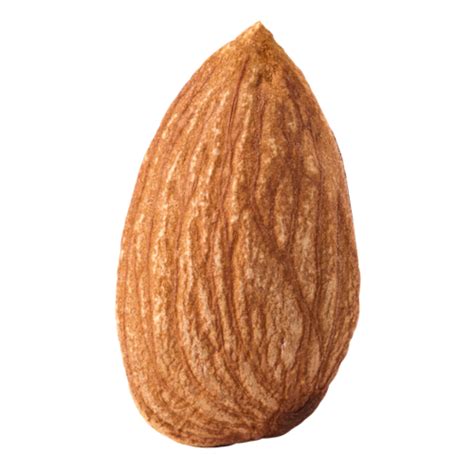 single of almond nut 12596340 PNG