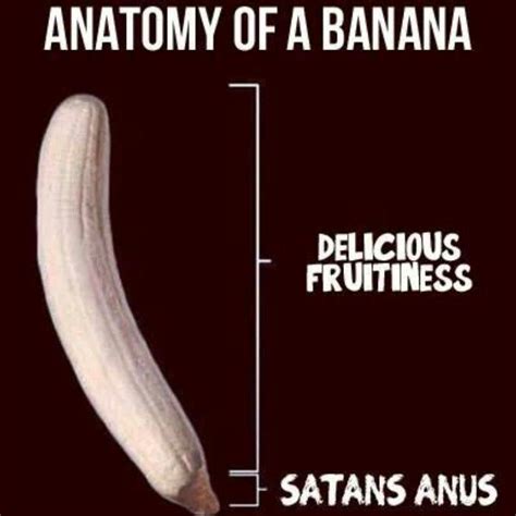 Anatomy of a banana | Banana, Anatomy, Delicious