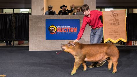 State Fair of Texas announces livestock market shows still being held in 2020 | KXAN Austin