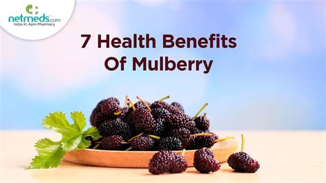 7 Amazing Health Benefits Of Mulberry - YouTube