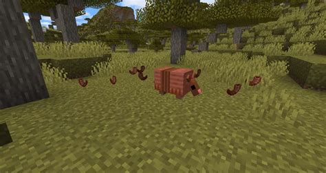 Mob Vote Armadillo Minecraft Texture Pack