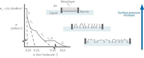 Langmuir & Langmuir Blodgett | Measurements