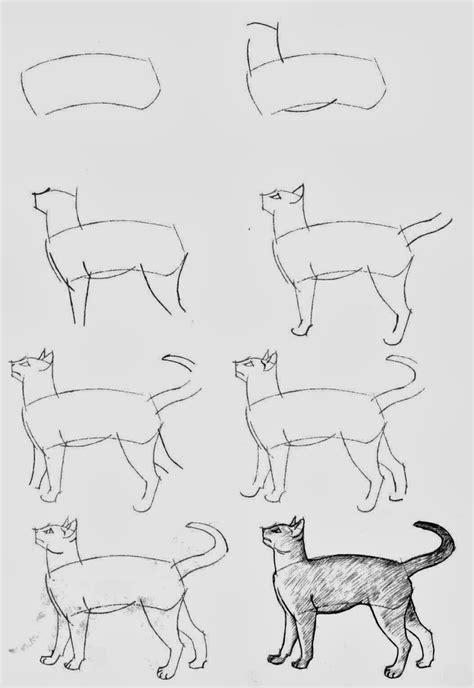 How To Draw Cats - DIY Craft Projects