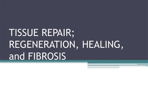 PPT - TISSUE REPAIR; REGENERATION, HEALING, and FIBROSIS PowerPoint ...