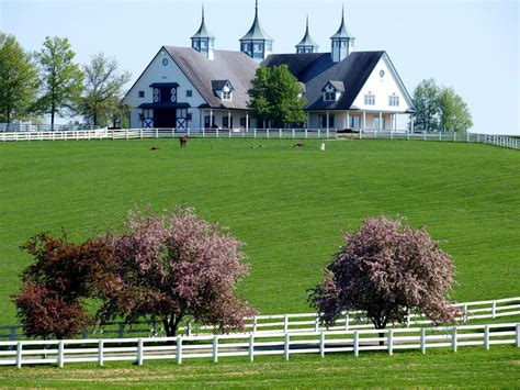 116 best Kentucky Horse Farms images on Pinterest | Horse farms, Race ...