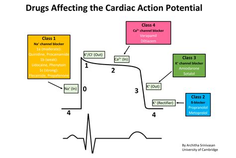 Anti Arrythmics Drugs - MOA, Classification and Uses | Medical Junction