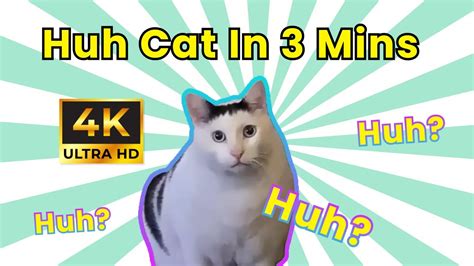 4K Enhanced Huh Cat | Enjoy Privilege Edition | Upscale Cat saying Huh ...