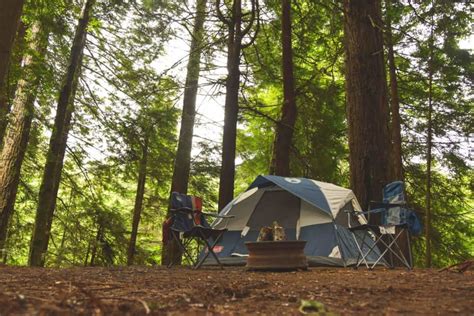 Why You Need to Explore Jedediah Smith Redwoods State Park