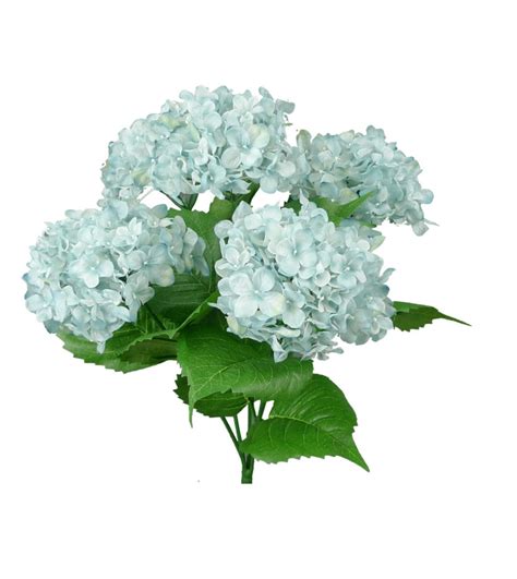 Hydrangea bush - blue - Greenery Market