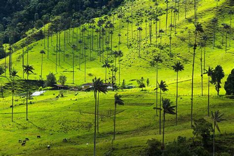 Salento, Colombia - South America Backpacker