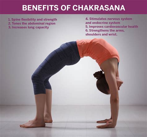 Chakrasana Yoga Pose Chakrasana Practice Yoga Shortvideo - Riset