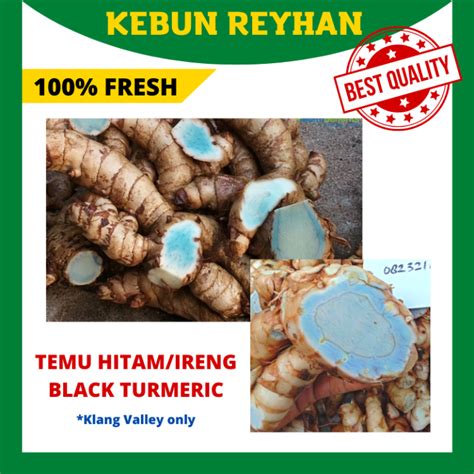 [PRE-ORDER] 100% Fresh Organic 250g Black Turmeric / Temu Hitam / Temu ...