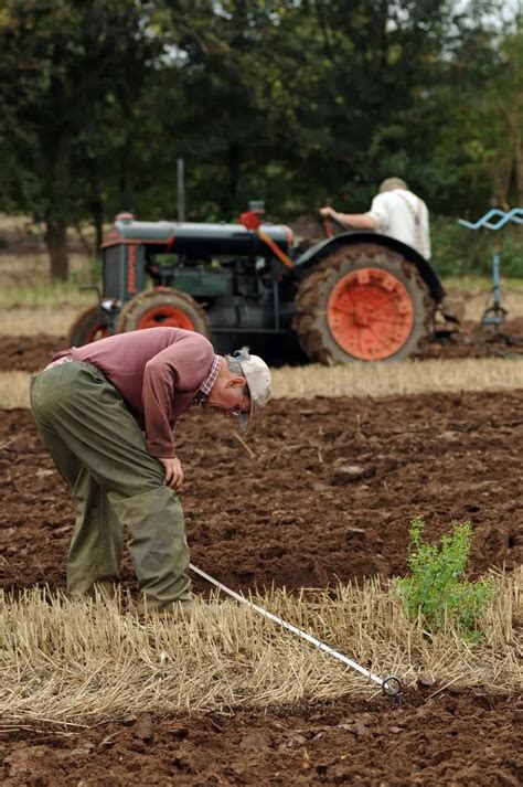 Warwick ploughing contest - CoventryLive