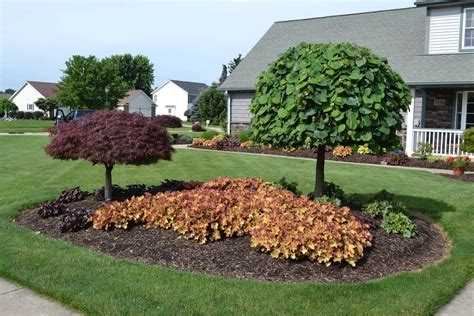 Ornamental Dwarf Trees For Landscaping — Randolph Indoor and Outdoor Design