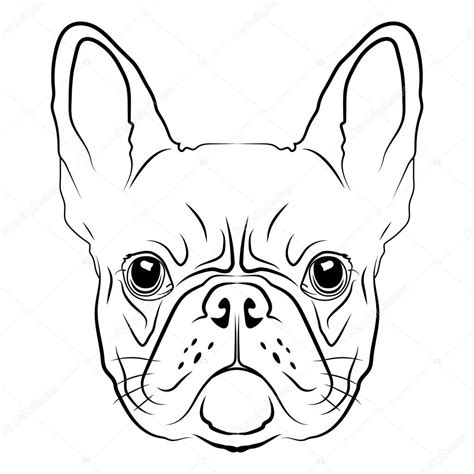 Tête de bulldog français image vectorielle par Victoria_Novak © Illustration #81133566