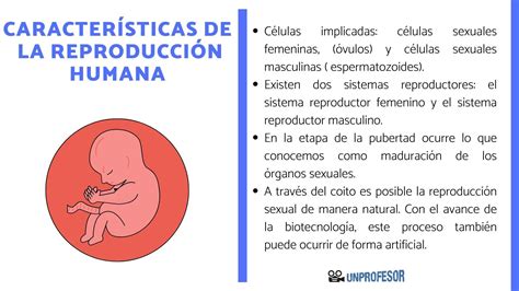 4 características de la REPRODUCCIÓN humana