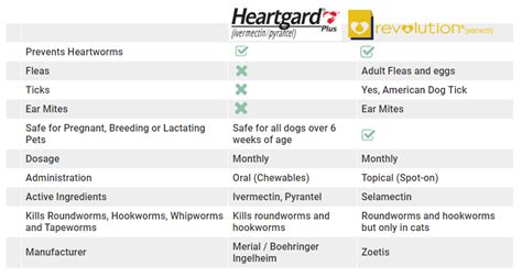 Heartgard Plus vs Revolution: A Complete Comparison | CanadaVetCare