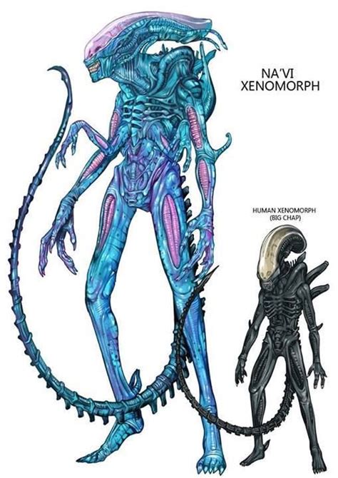 Na'vi Xenomorph | Xenomorph, Alien vs predator, Alien artwork