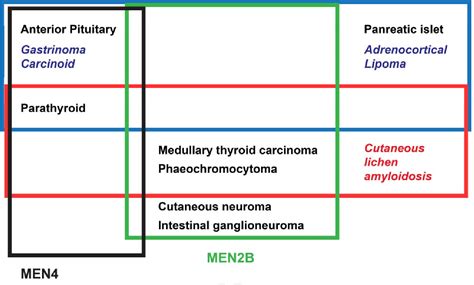 Multiple endocrine neoplasia (MEN) syndromes. | Semantic Scholar