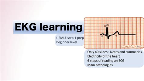 SOLUTION: Ecg beginners - Studypool