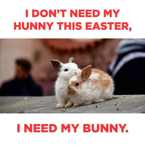 Easter Bunny Meme in JPG - Download | Template.net