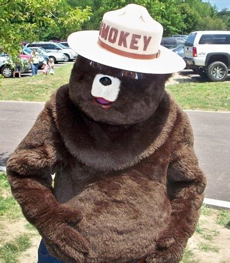 Smoke Bear Costume and are they HOT when you are the luck one! | Smokey ...