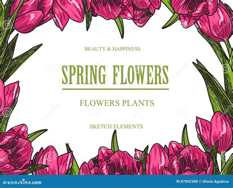 Vector Design Banner For Flower Shop And Floristic Shop With Hand Drawn Flowers Illustration ...