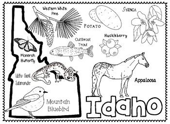 Idaho's State Symbols by Connecting with Social Studies | TpT