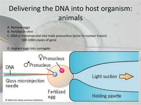 Transgenesis