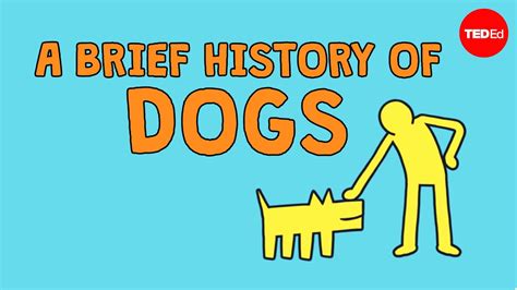 A brief history of dogs - David Ian Howe - YouTube