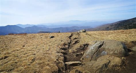 Grassy Ridge Bald (Roan Mountain) Tennessee - One Journey