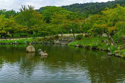 Pond in the Maruyama Park, Kyoto Stock Photo - Image of lake, nature: 202132996