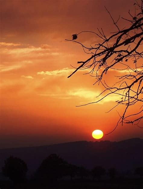 Fire in the Sky_ A collection of nature poetry inspired by sunrises and ...