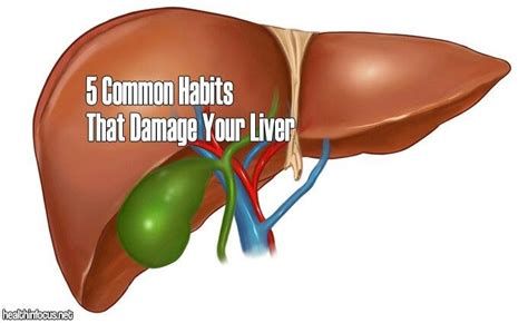 5 Common Habits That Damage your Liver (With images) | Liver health, Health and nutrition ...