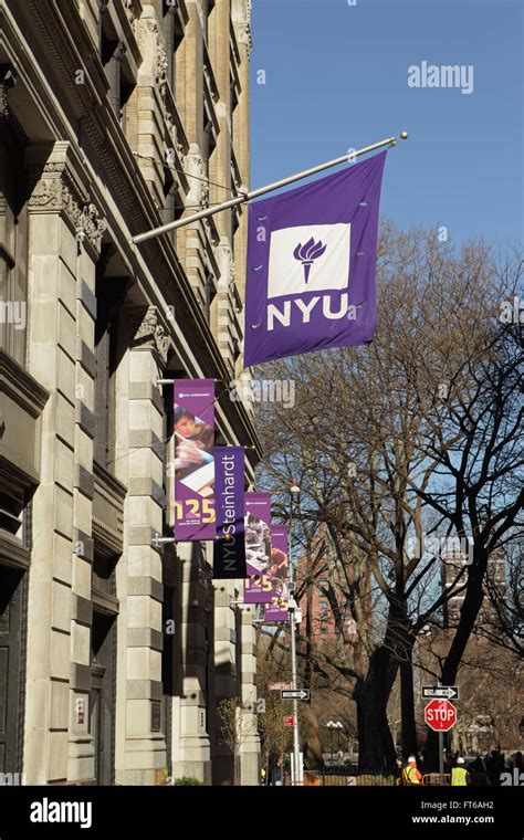 New York University buildings with the purple NYU logo flag hanging ...