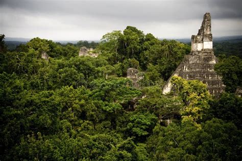 Maya pyramid in Tikal stock photo. Image of history, star - 10736658