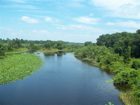 File:Starkes Ferry Ocklawaha River north01.jpg - Wikipedia
