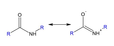 Amide Functional Group | ChemTalk