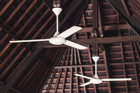 The Common Types of Ceiling Fans Explained - In NewsWeekly