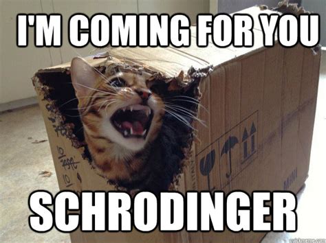 Schrodingers Cat Meme