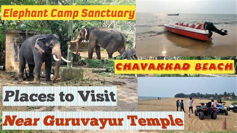 Places to visit near Guruvayur Temple I Elephant camp Sanctuary ...