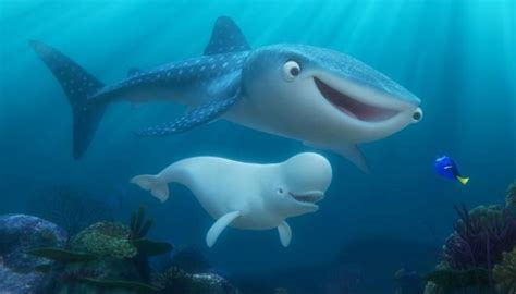 What You Might Not Know About Destiny the Whale Shark in Finding Dory ...