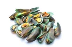 Green Mussels vs Black Mussels: What's The Difference? - Miss Vickie