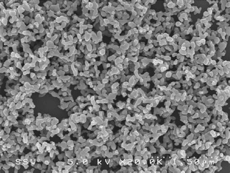 Hydroxyapatite Nano Crystalline - Novotech LLC