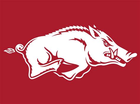 Arkansas Razorback Wallpaper and Screensavers - WallpaperSafari